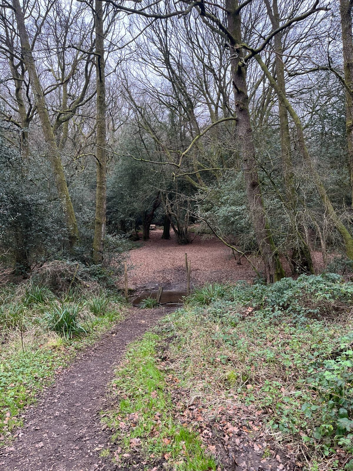 Path, Holmwood Common